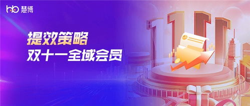 双11突围密码 2024大促全周期会员提效策略指南